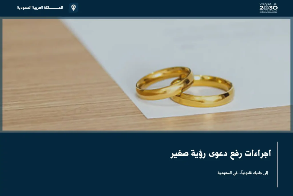 اجراءات رفع دعوى رؤية صغير